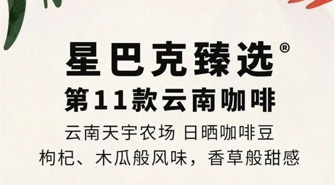 啡：彩云之南的馥郁传奇mg不朽情缘网站云