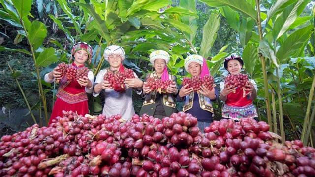 东方大峡谷的生态发展奇迹惊艳上海盛会(图1) 东方大峡谷的生态发展奇迹惊艳上海盛会(图1)