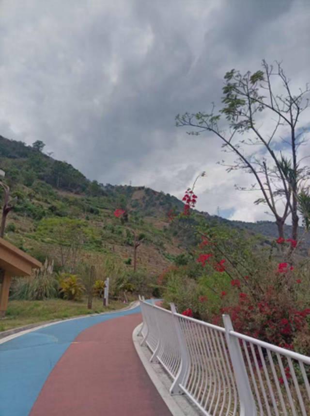 东方大峡谷的生态发展奇迹惊艳上海盛会(图5) 东方大峡谷的生态发展奇迹惊艳上海盛会(图5)