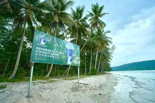 8年跑出一个“咖啡日常化”的中国范本不朽情缘游戏平台从99元到3万店瑞幸(图3) 8年跑出一个“咖啡日常化”的中国范本不朽情缘游戏平台从99元到3万店瑞幸(图3)