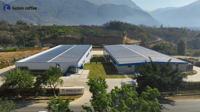 8年跑出一个“咖啡日常化”的中国范本不朽情缘游戏平台从99元到3万店瑞幸(图6) 8年跑出一个“咖啡日常化”的中国范本不朽情缘游戏平台从99元到3万店瑞幸(图6)